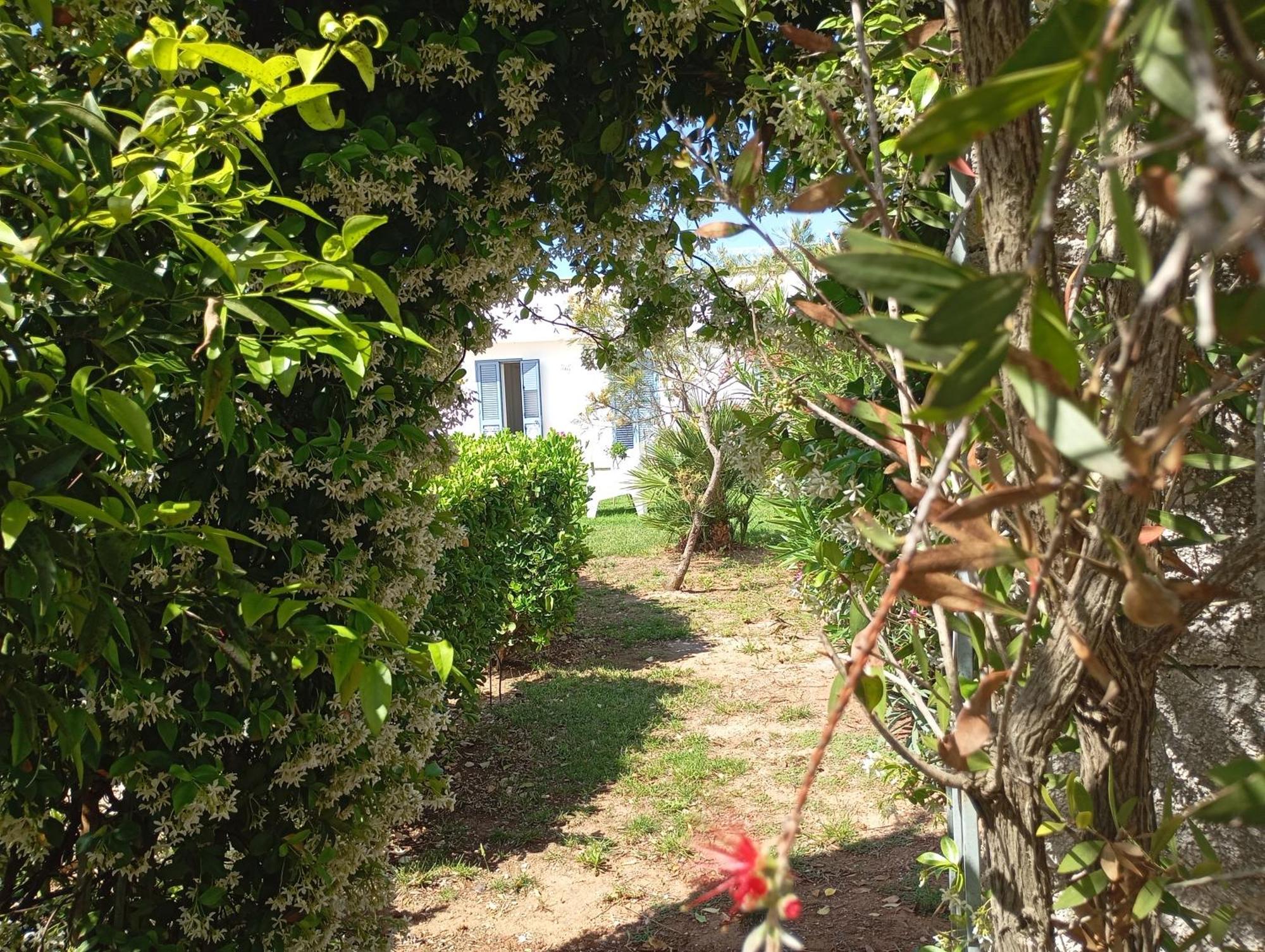 Li Curti B&B Melissano Kültér fotó
