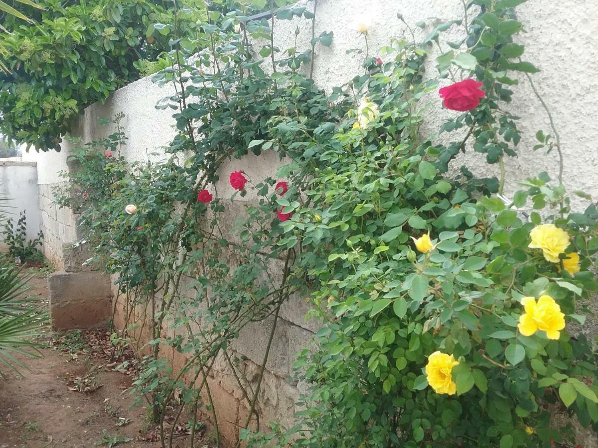 Li Curti B&B Melissano Kültér fotó