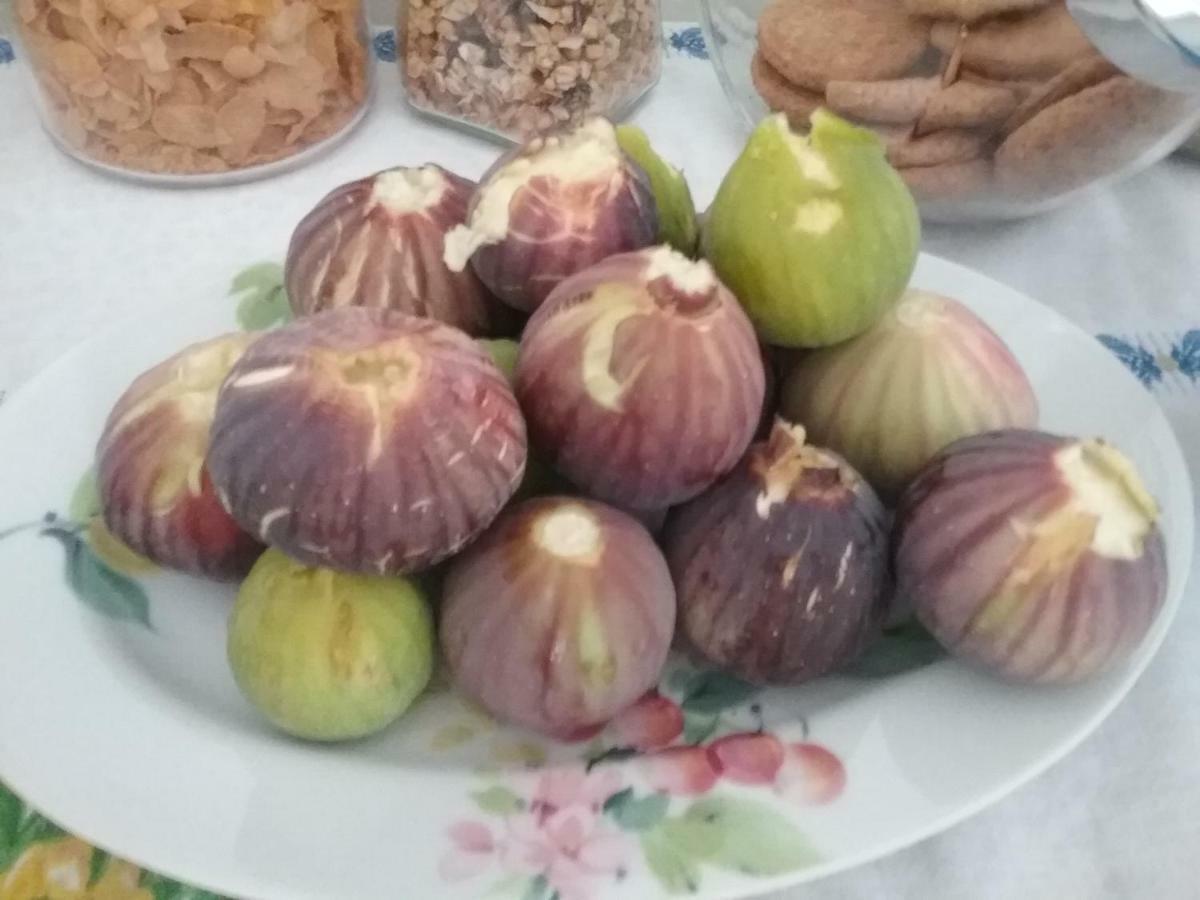 Li Curti B&B Melissano Kültér fotó