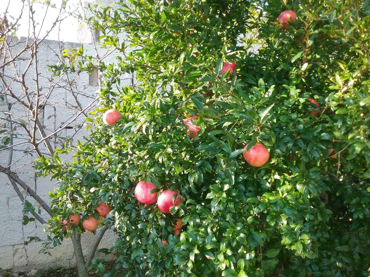 Li Curti B&B Melissano Kültér fotó