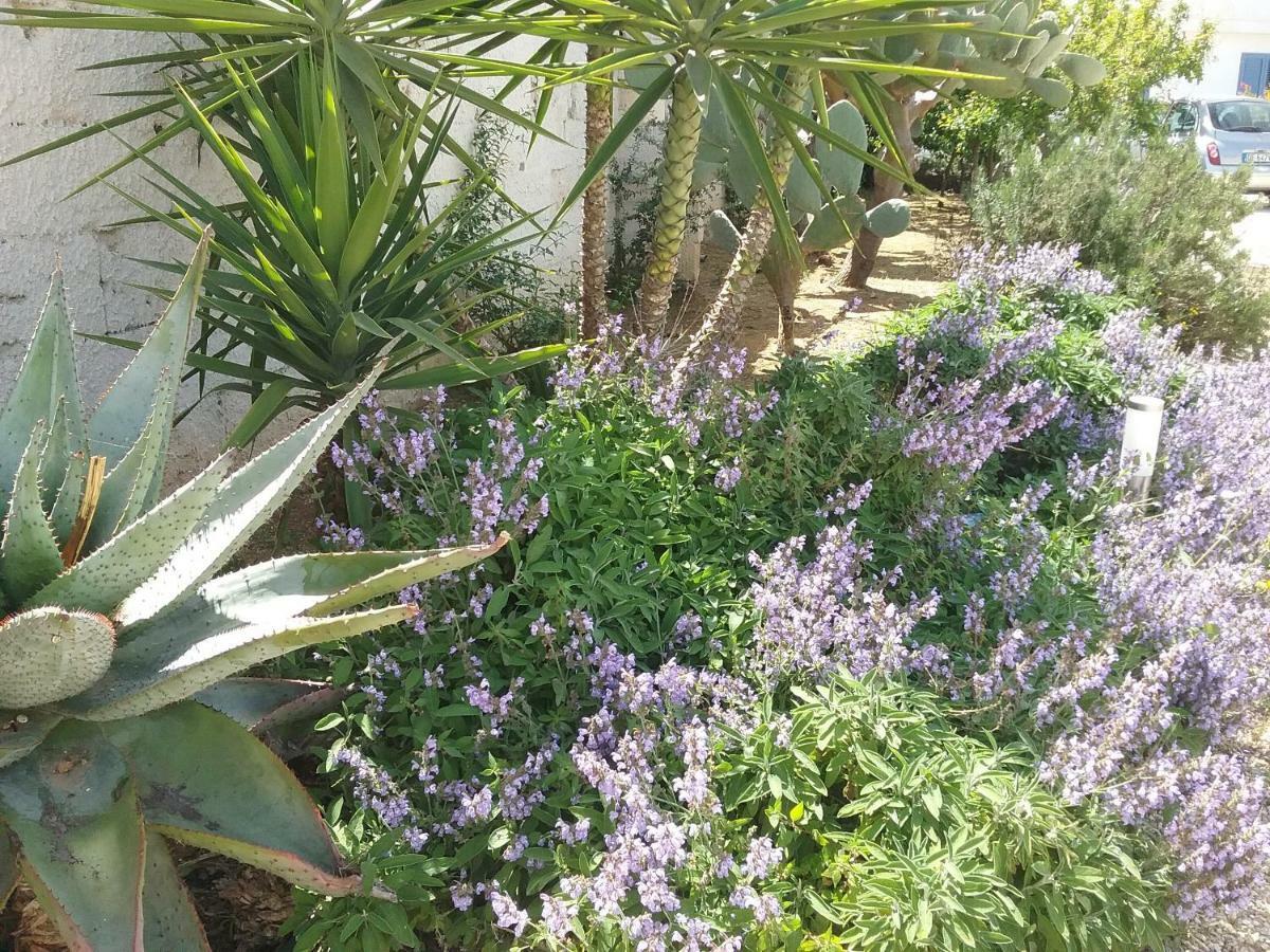 Li Curti B&B Melissano Kültér fotó